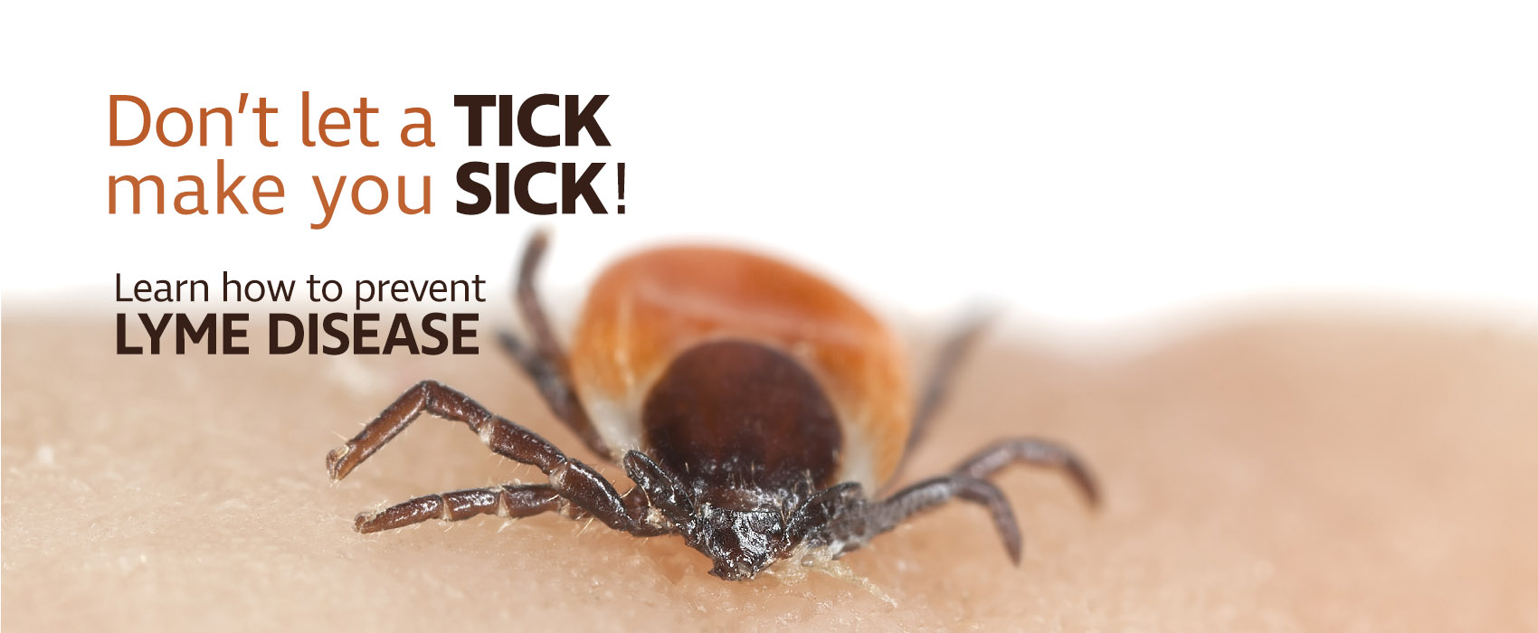 Don't Let Ticks Make You Sick! - District Health Department 10